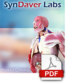 View Syndaver Labs Product Catalog