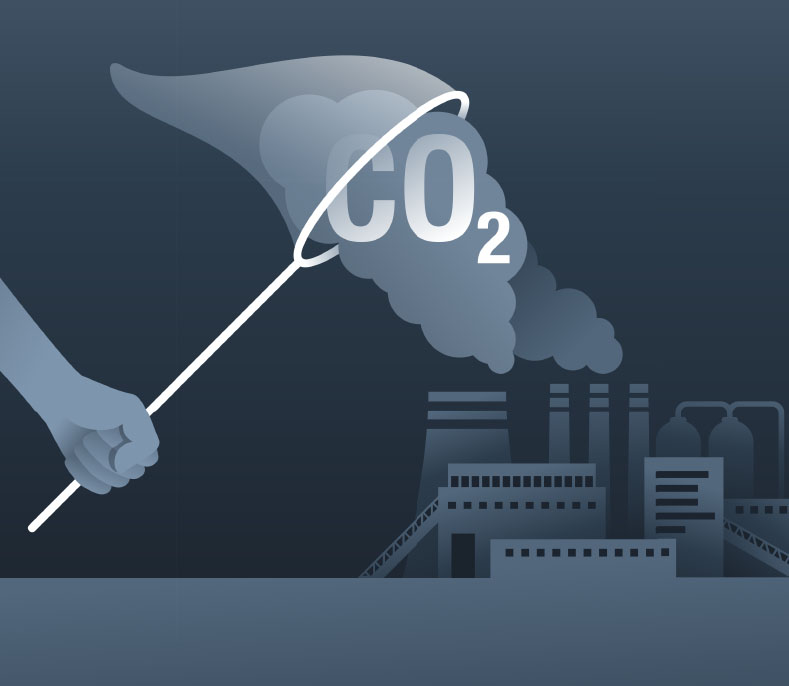 Training Skills for a Sustainable Future with Pignat Trainers