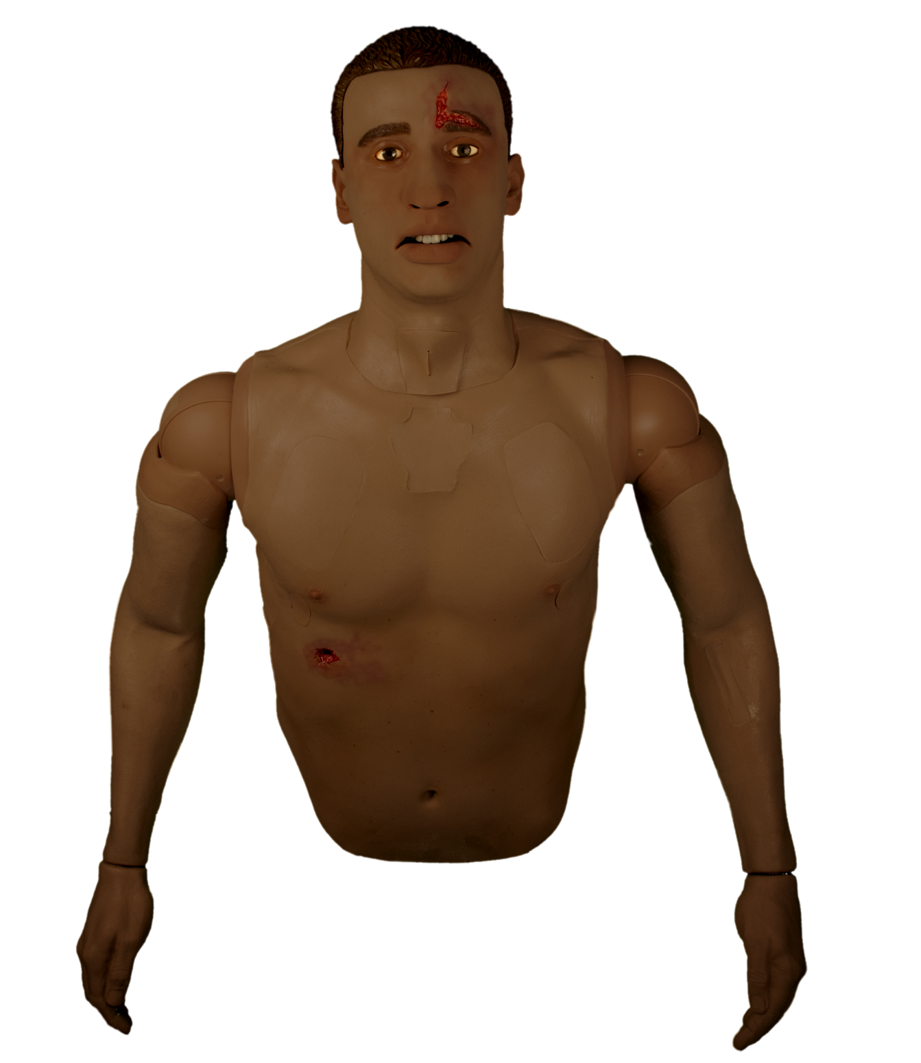 African American Simulator AirwayPlus Lifecast Upper (APL)