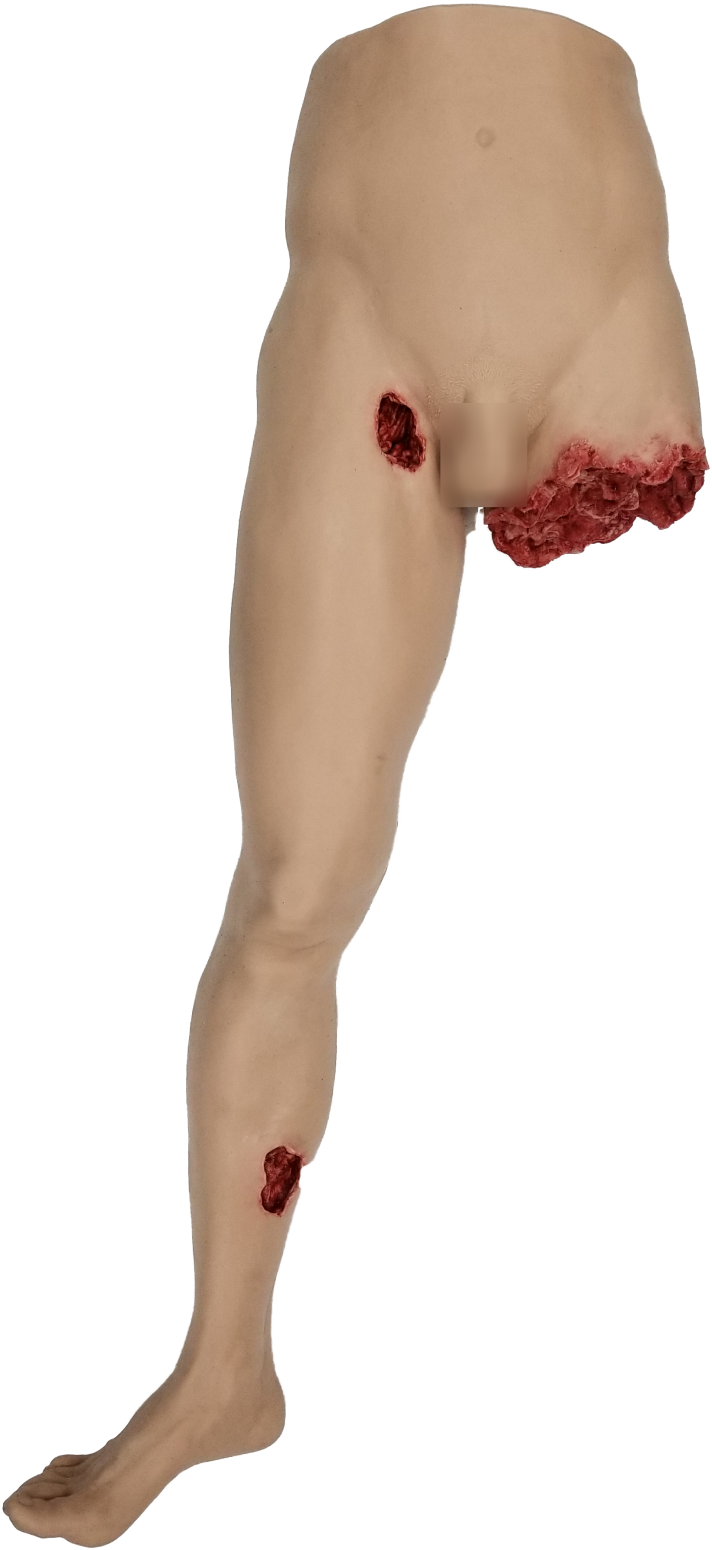 Hemorrhage Control Skills Trainer - Classroom (HCST-C) TacMed Simulation EMT Trainer