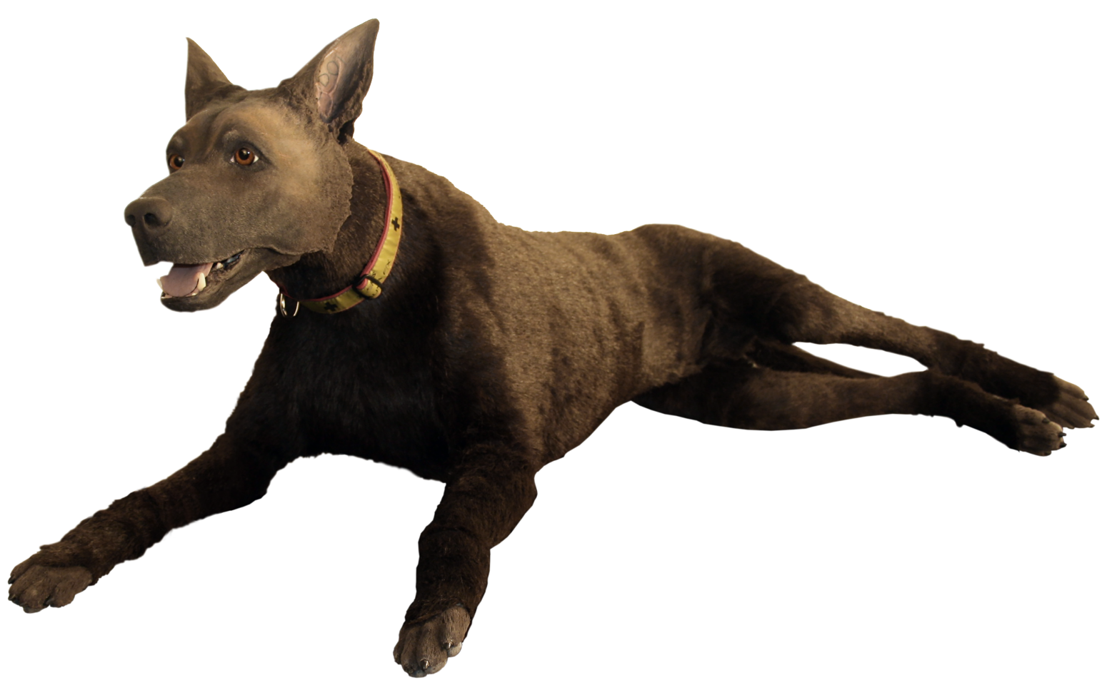 TacMed K9 Diesel TacMed Simulation Canine Simulator