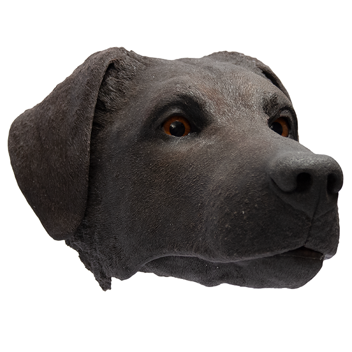 TacMed K9 Diesel | Floppy Ears TacMed K9 Simulation