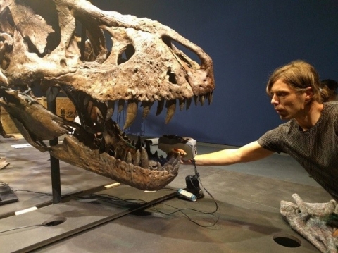 Putting together the puzzle of Tyrannosaurus rex fossils with 3D scanning
