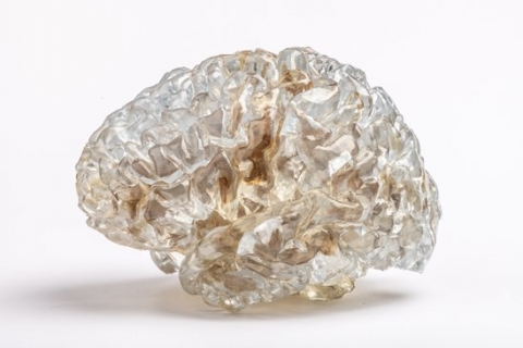Somos BioClear Brain Stereolithography for Neo 3D Printers